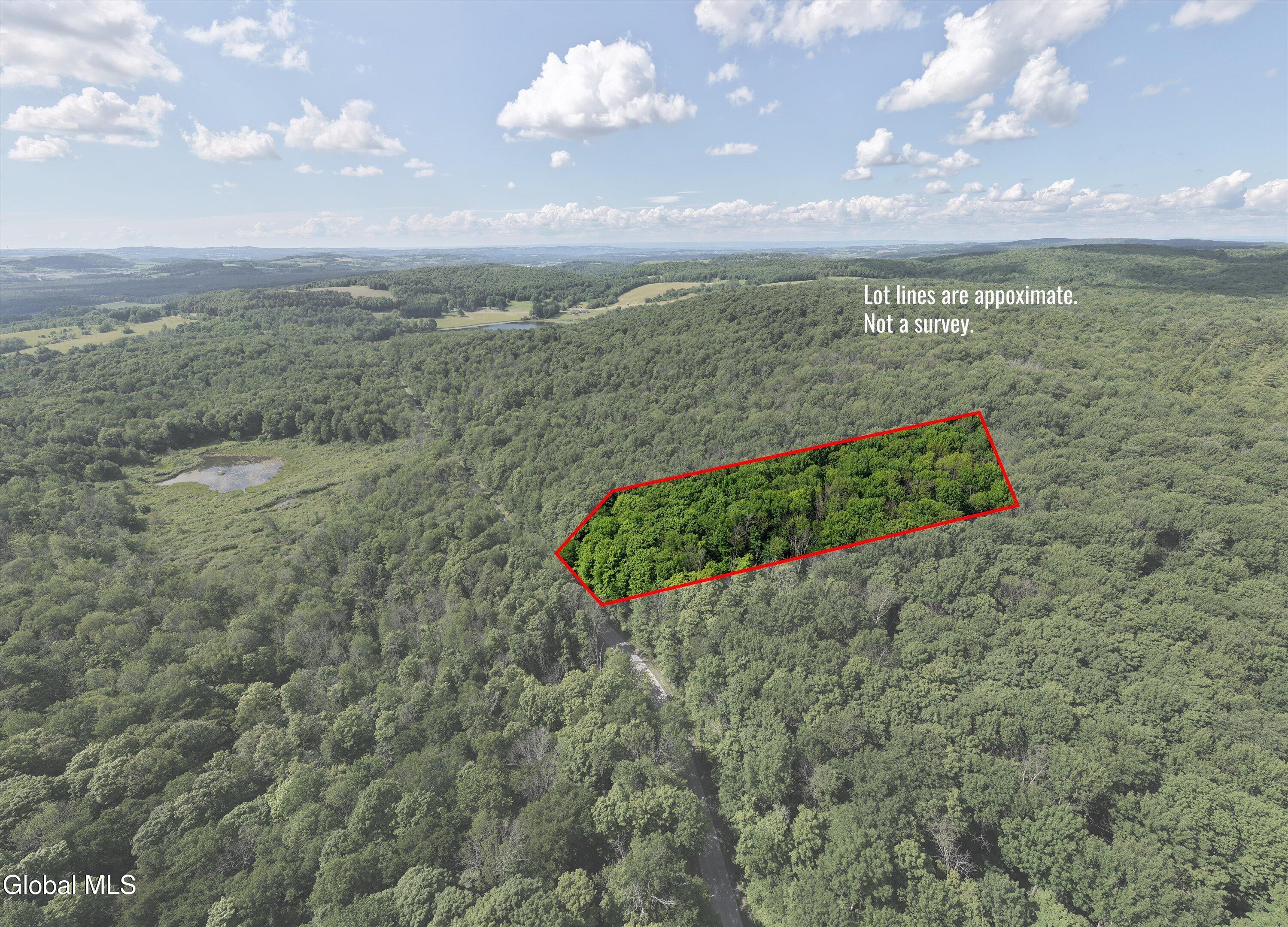 L27.5 Gorton Lake Road Waterville NY 13455