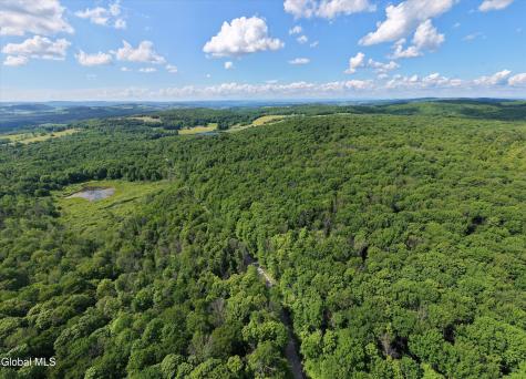 L27.5 Gorton Lake Road Waterville NY 13455