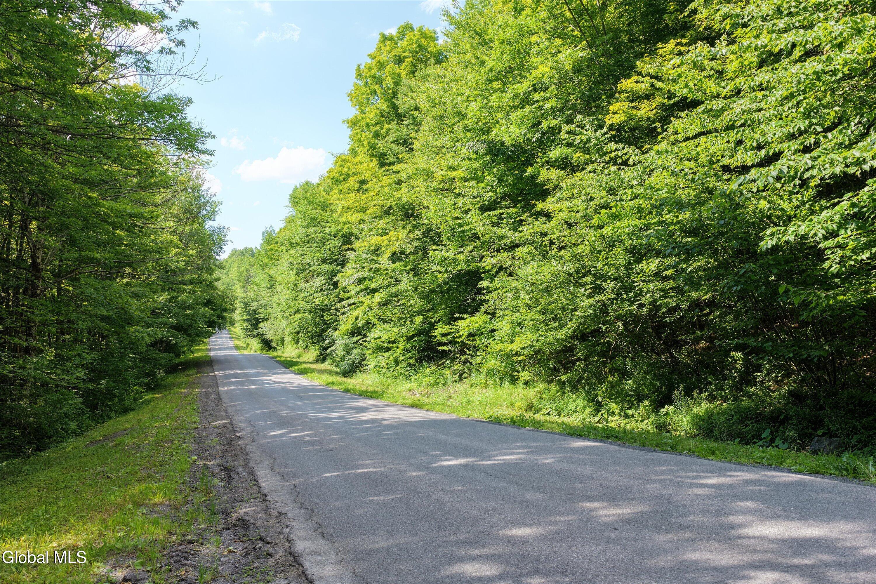 L27.5 Gorton Lake Road Waterville NY 13455
