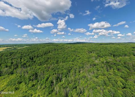 L27.5 Gorton Lake Road Waterville NY 13455
