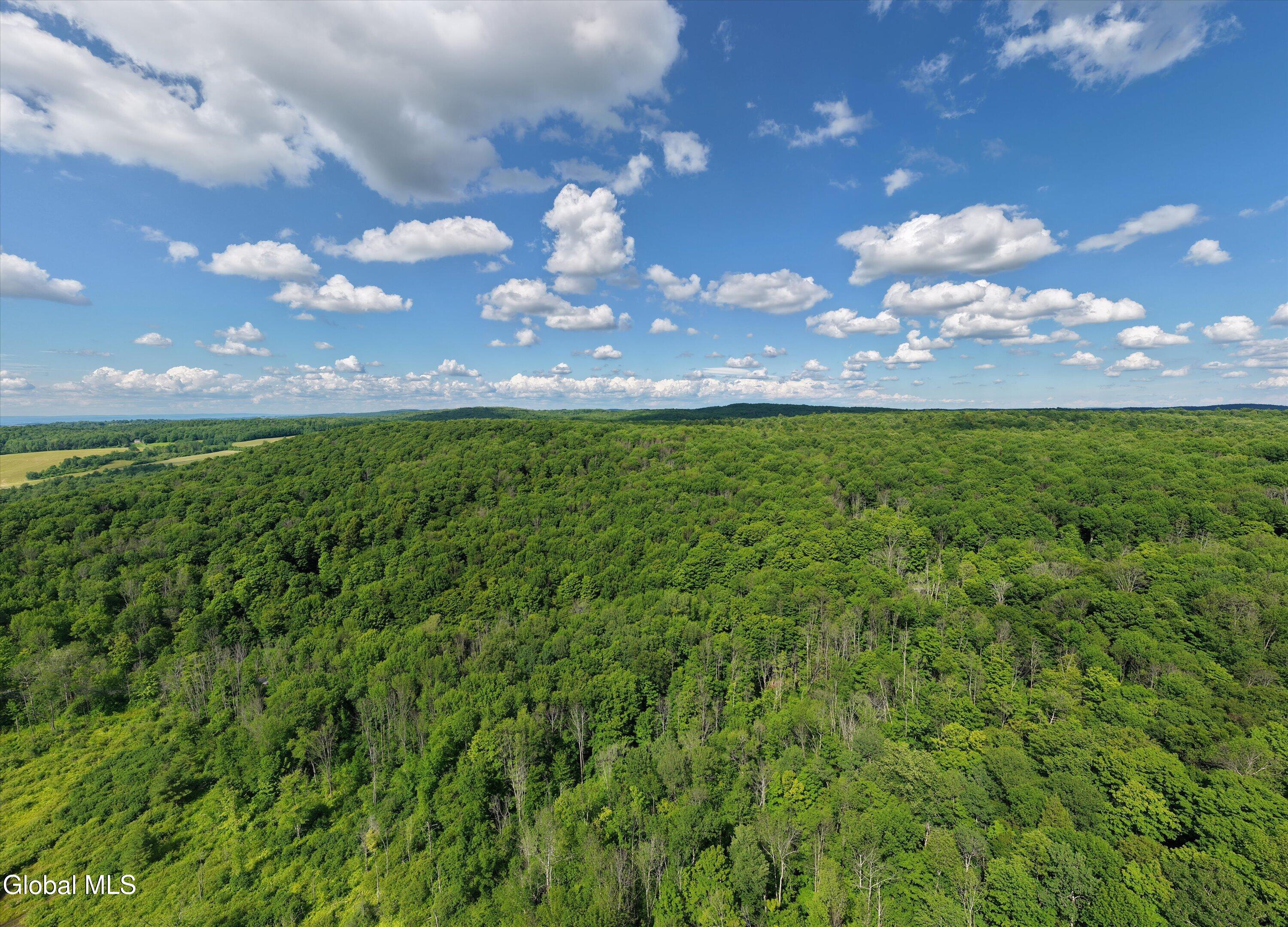 L27.5 Gorton Lake Road Waterville NY 13455