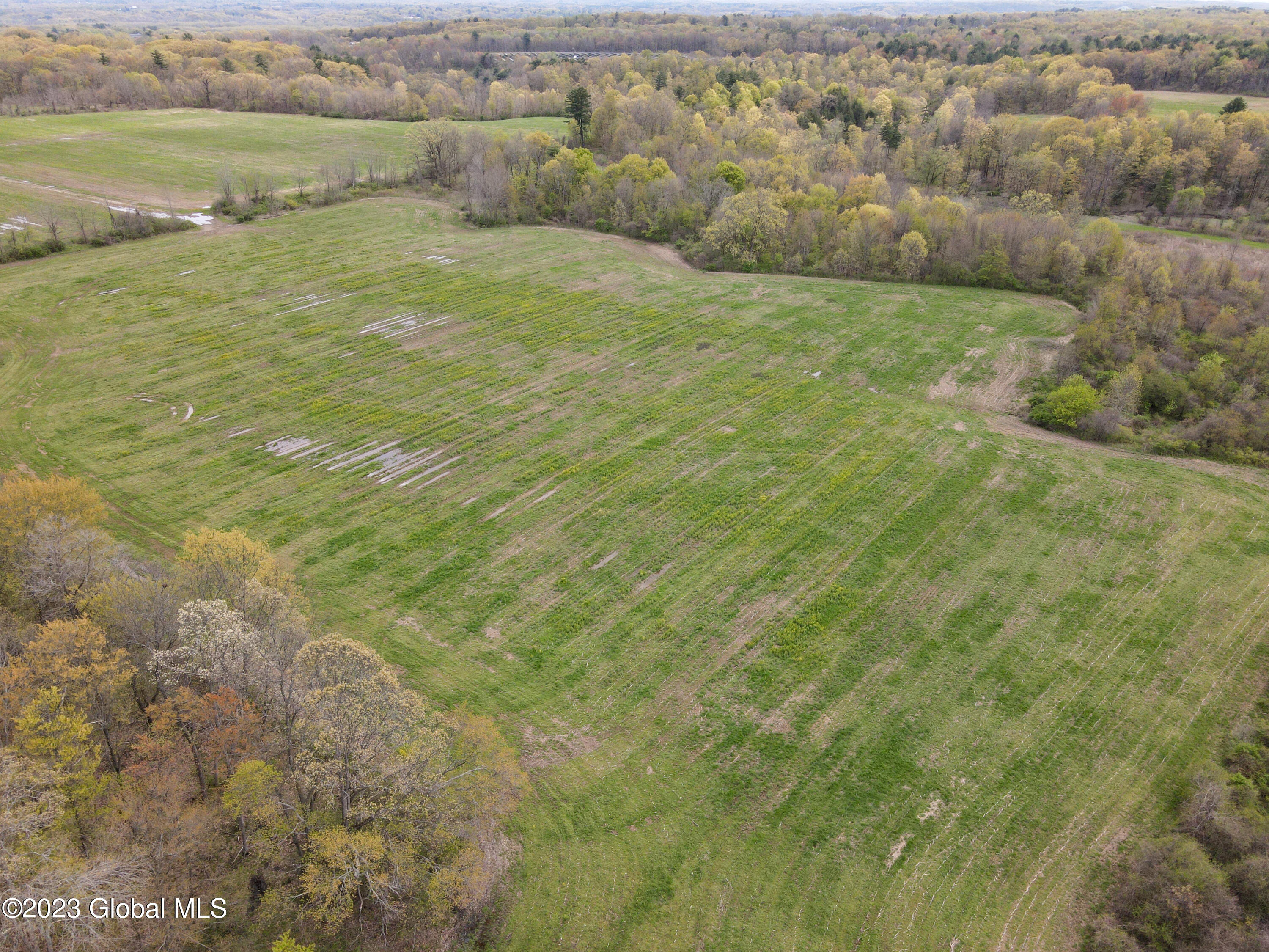 292 Clapper Road Selkirk NY 12158