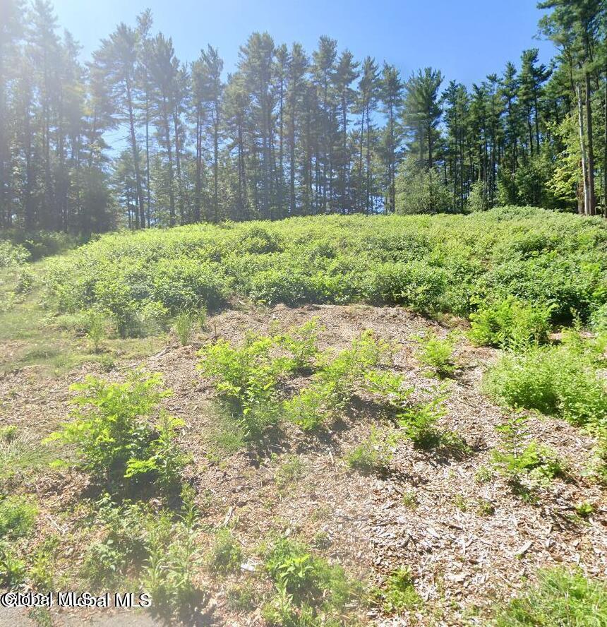 5 Woodview Court Ballston Lake NY 12019