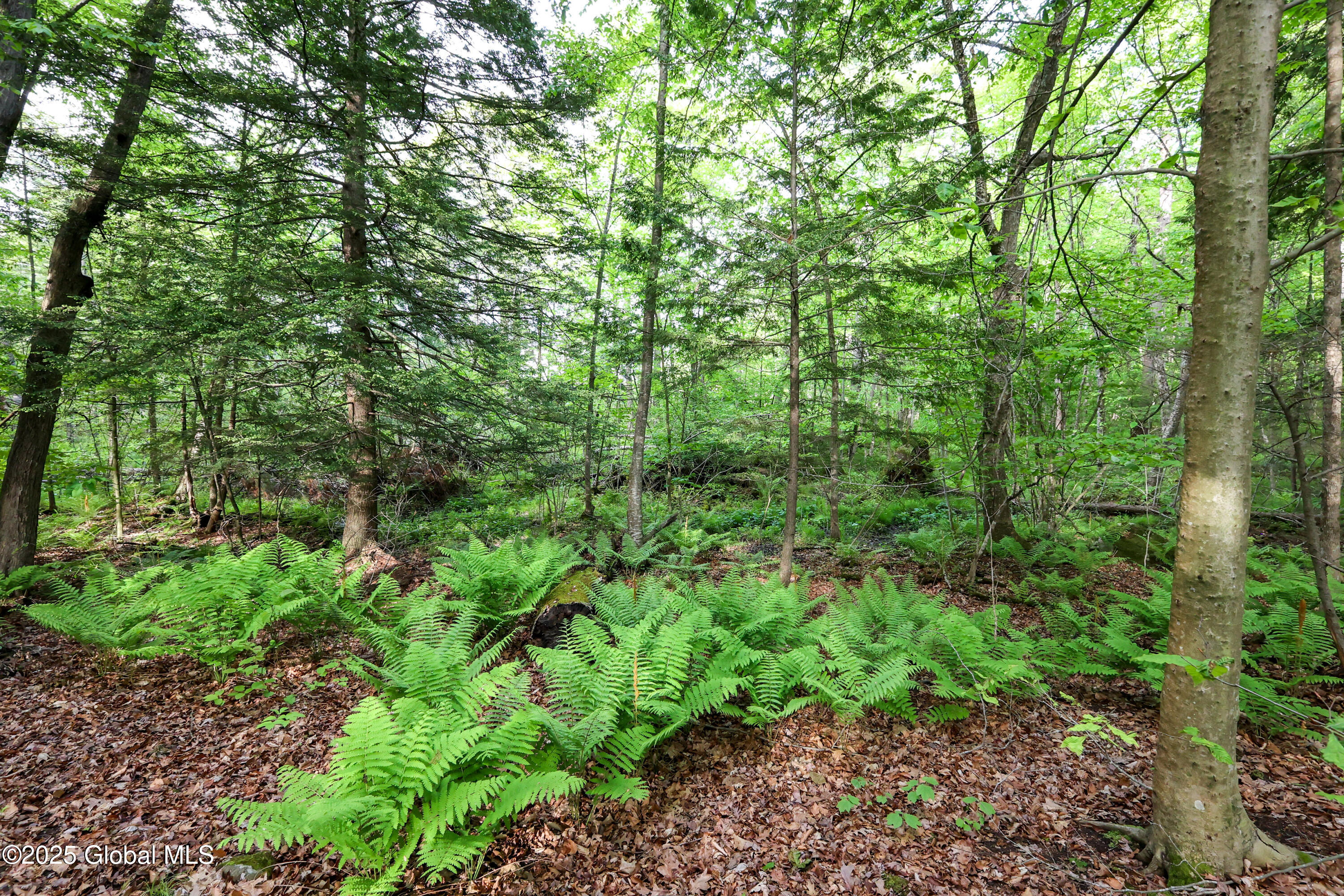 L18 Blind Rock Road Queensbury NY 12804