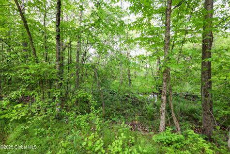 L18 Blind Rock Road Queensbury NY 12804
