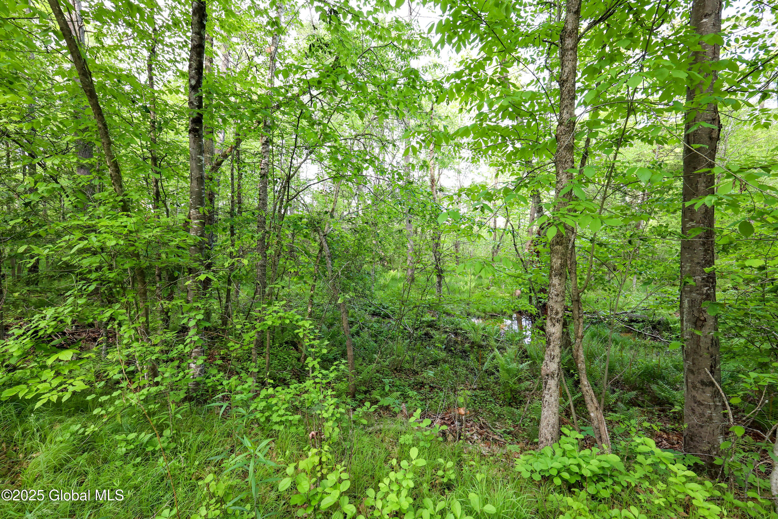 L18 Blind Rock Road Queensbury NY 12804