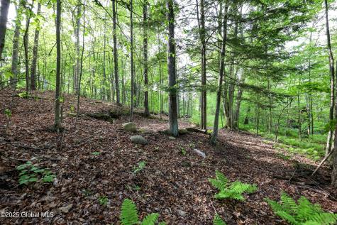 L18 Blind Rock Road Queensbury NY 12804