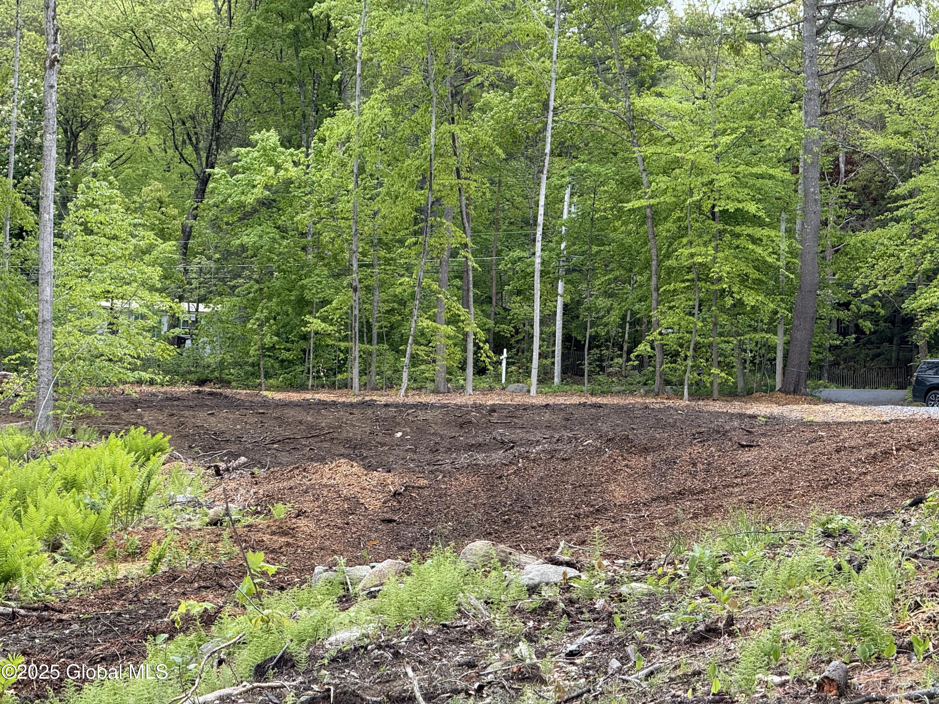 1569 S Shore Road Hadley NY 12835