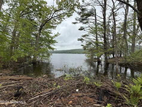 1569 S Shore Road Hadley NY 12835