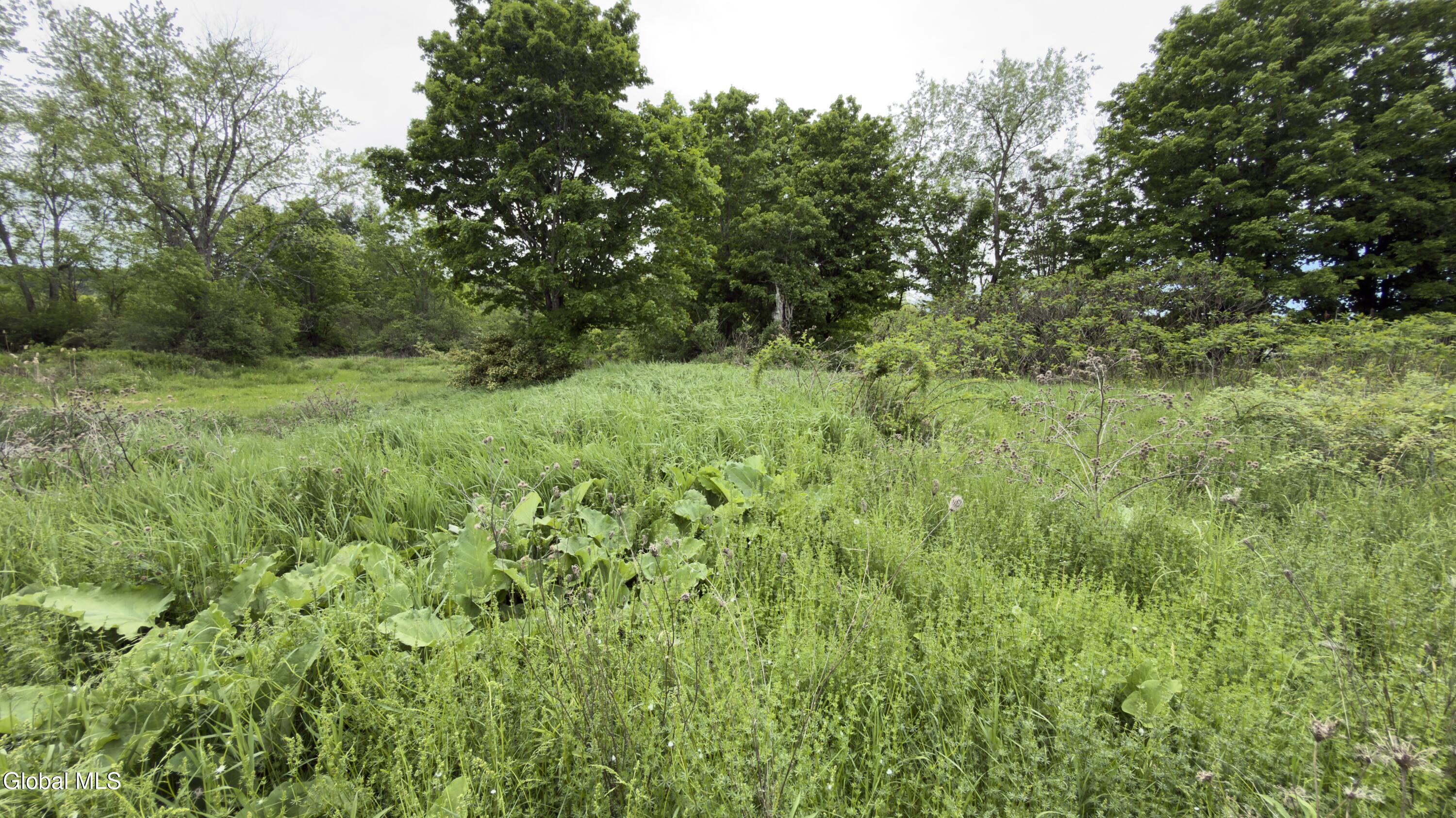 108 Ny-32 Saratoga NY 12871
