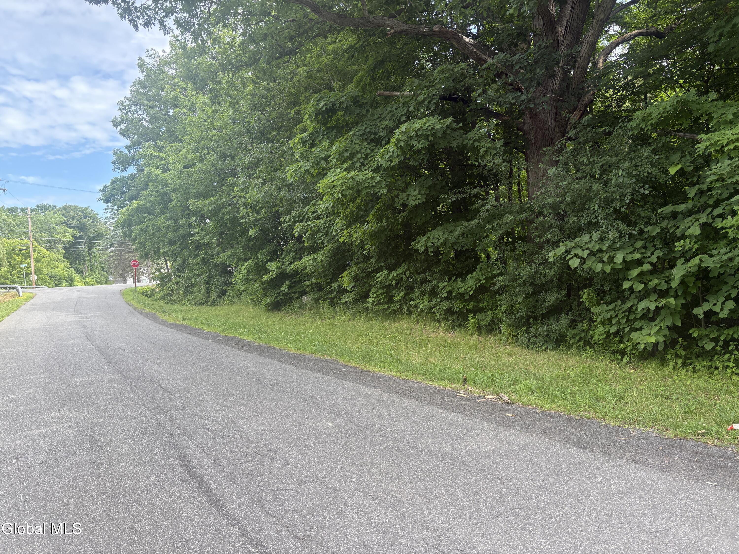L1.022 Delaware Delmar NY 12054