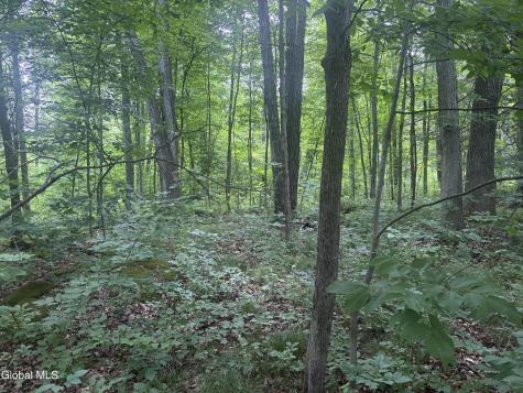 L1.022 Delaware Delmar NY 12054
