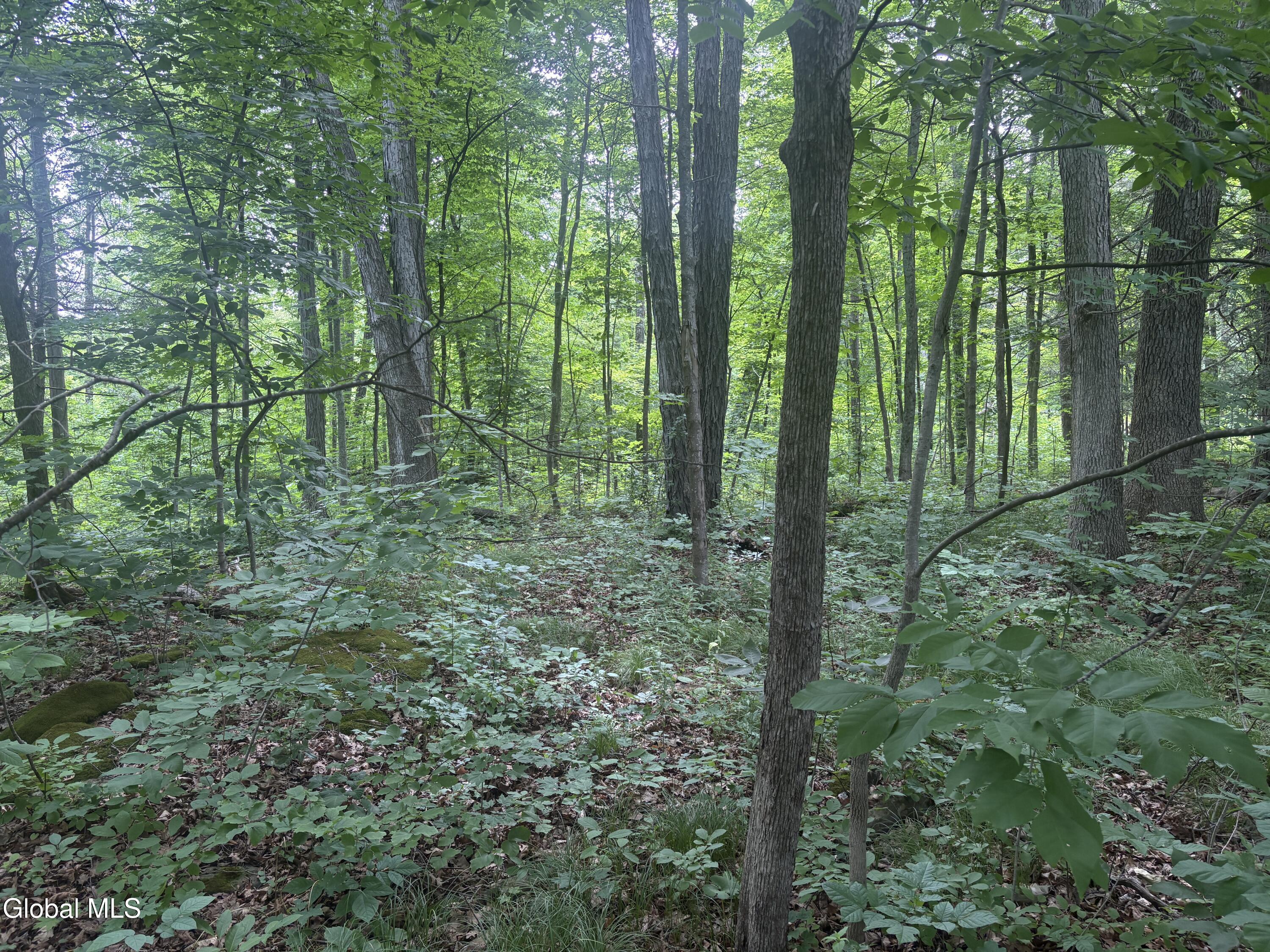 L1.022 Delaware Delmar NY 12054