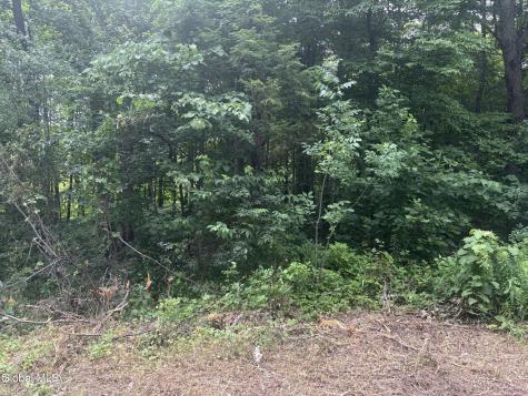 L1.022 Delaware Delmar NY 12054