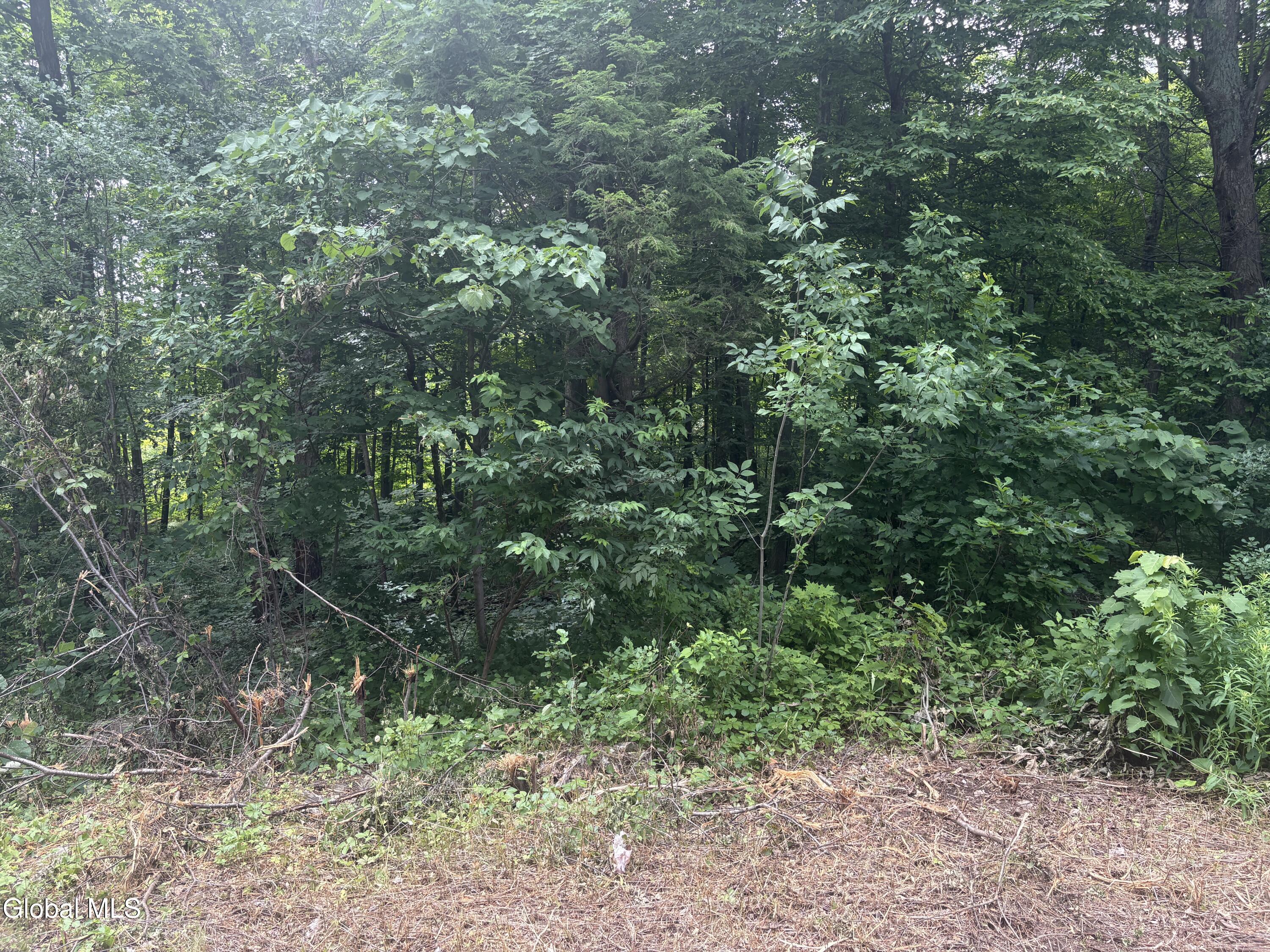 L1.022 Delaware Delmar NY 12054