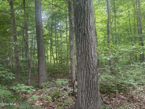 L1.022 Delaware Delmar NY 12054
