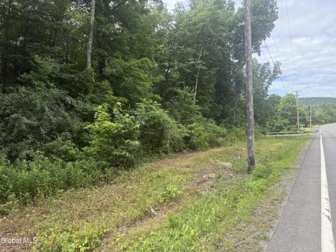 L1.022 Delaware Delmar NY 12054