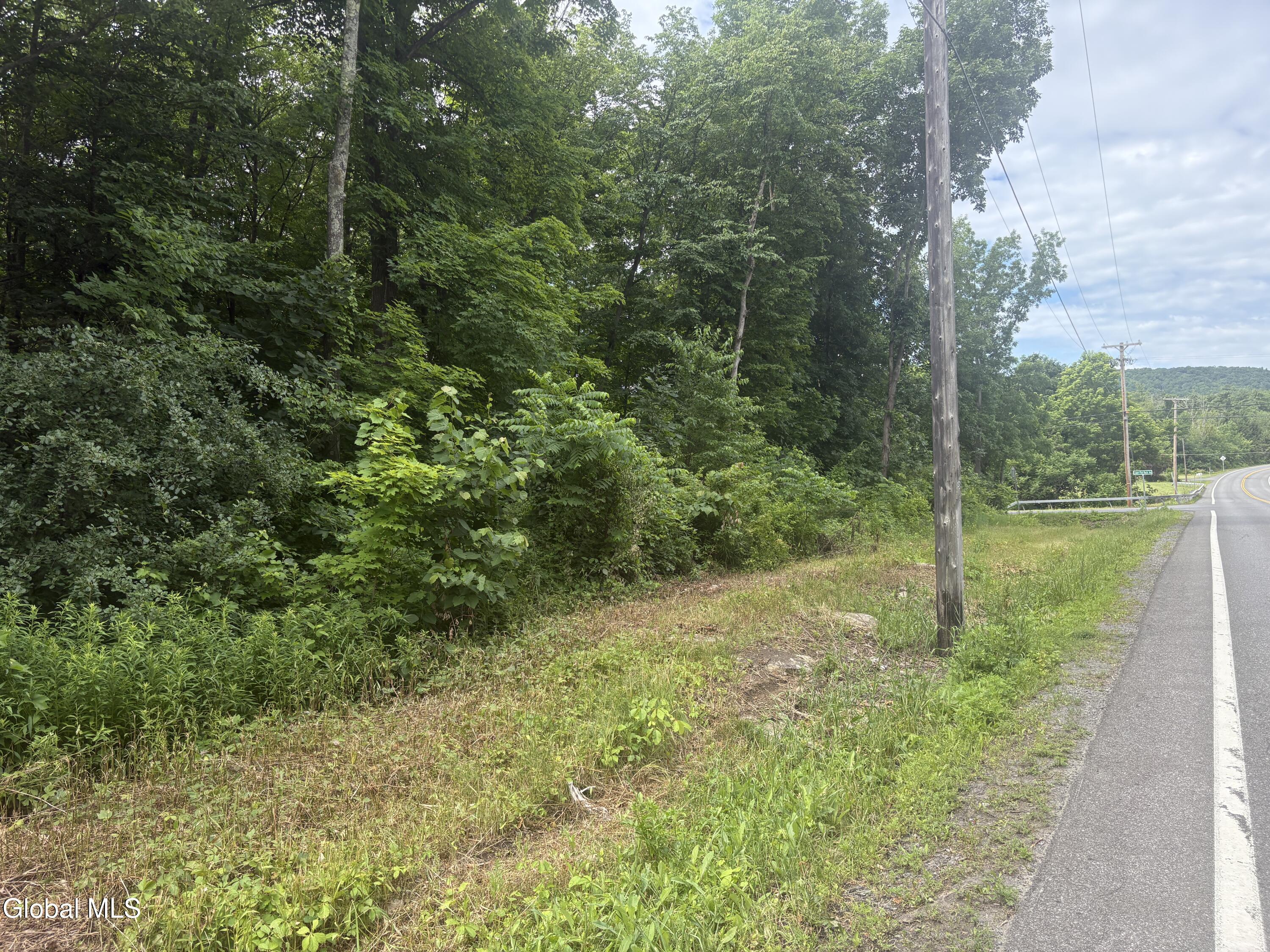 L1.022 Delaware Delmar NY 12054