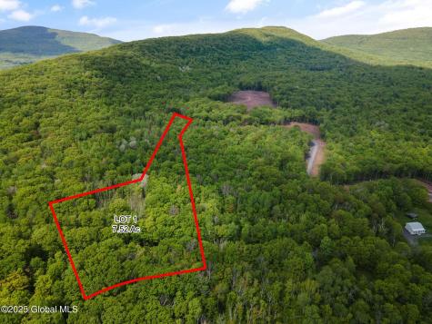 2 Lot Galway Road Windham NY 12496