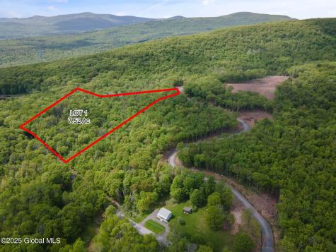 2 Lot Galway Road Windham NY 12496