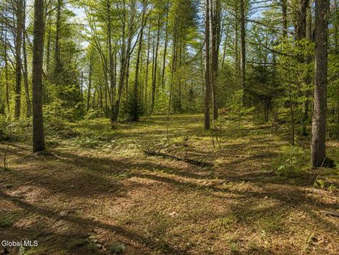 L95 Highview Lane Wevertown NY 12886