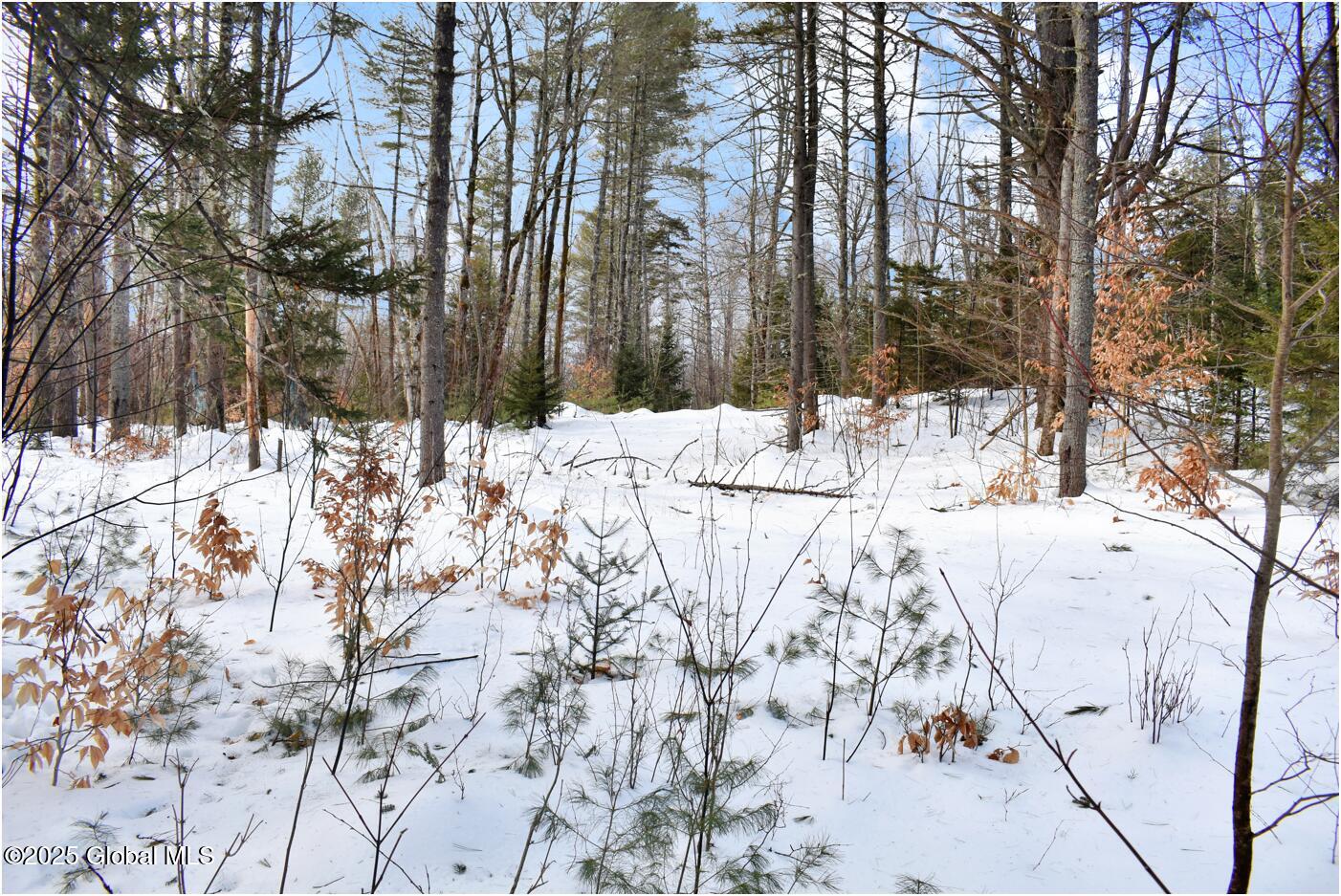 L95 Highview Lane Wevertown NY 12886