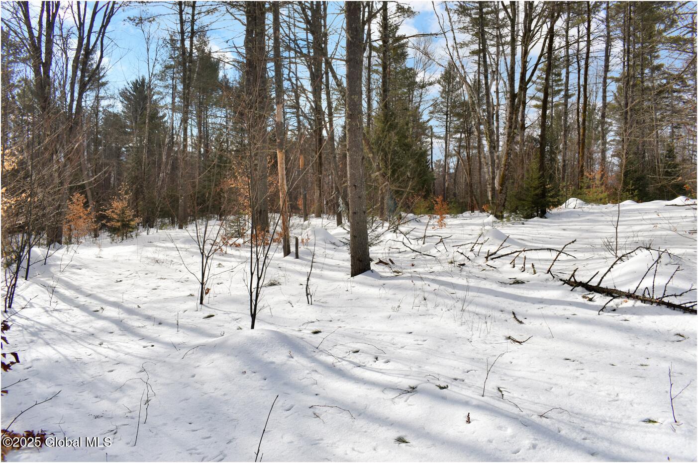 L95 Highview Lane Wevertown NY 12886