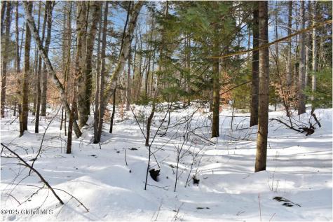L95 Highview Lane Wevertown NY 12886