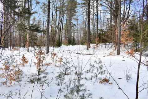L95 Highview Lane Wevertown NY 12886