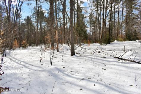 L95 Highview Lane Wevertown NY 12886