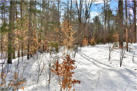 L95 Highview Lane Wevertown NY 12886