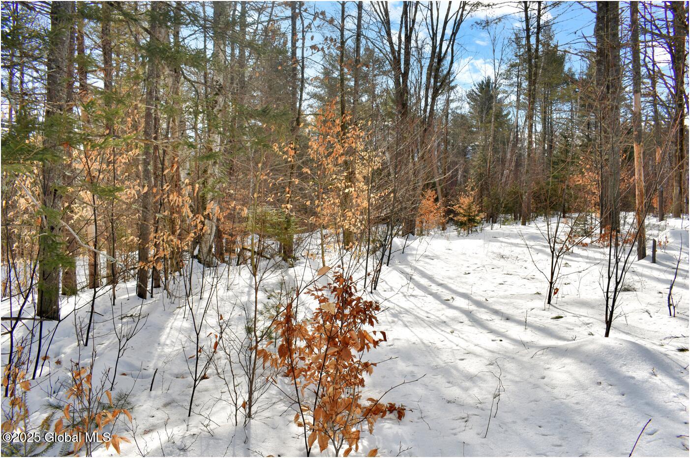 L95 Highview Lane Wevertown NY 12886