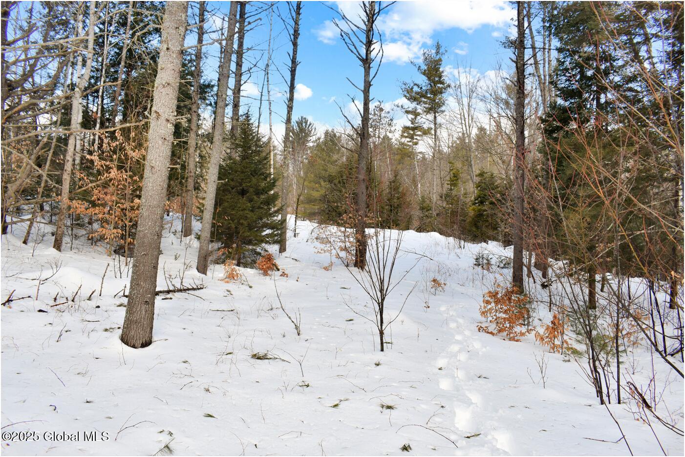 L95 Highview Lane Wevertown NY 12886