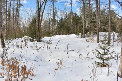 L95 Highview Lane Wevertown NY 12886