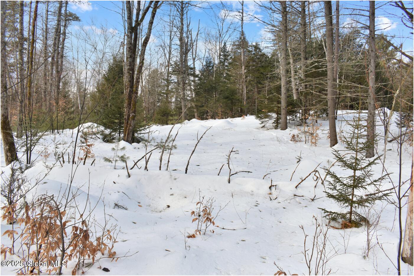 L95 Highview Lane Wevertown NY 12886