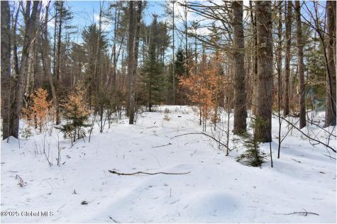 L95 Highview Lane Wevertown NY 12886