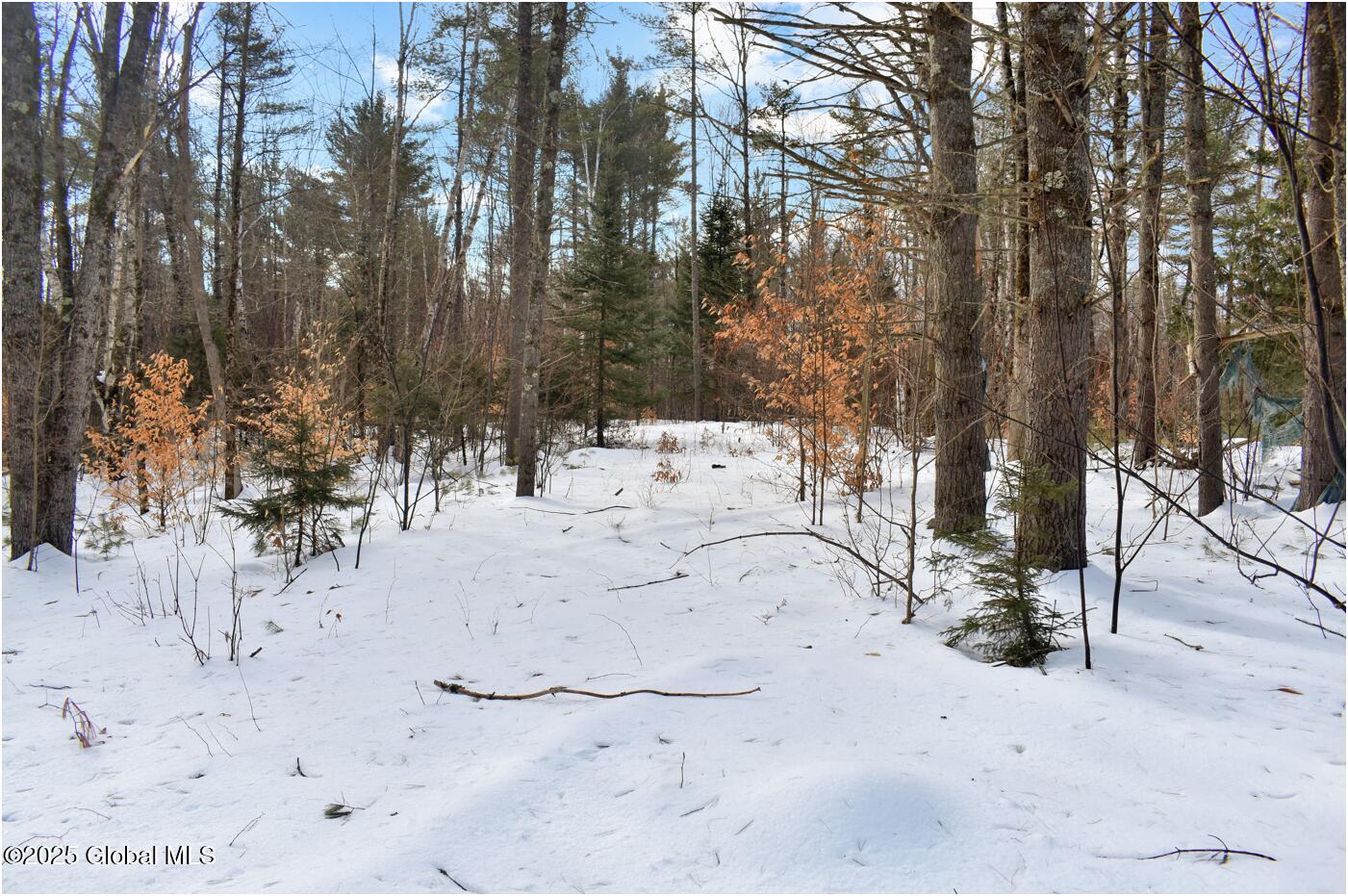 L95 Highview Lane Wevertown NY 12886