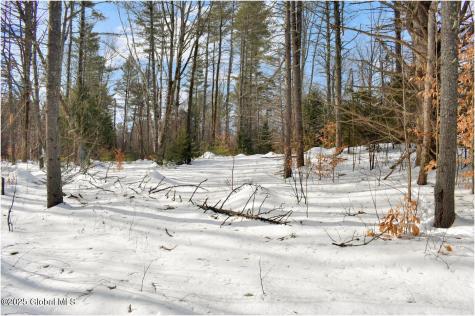 L95 Highview Lane Wevertown NY 12886