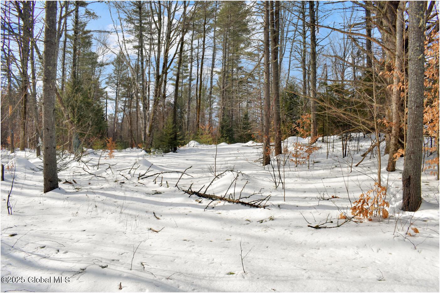 L95 Highview Lane Wevertown NY 12886