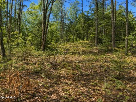 L95 Highview Lane Wevertown NY 12886