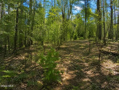 L95 Highview Lane Wevertown NY 12886