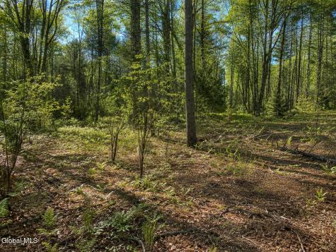 L95 Highview Lane Wevertown NY 12886