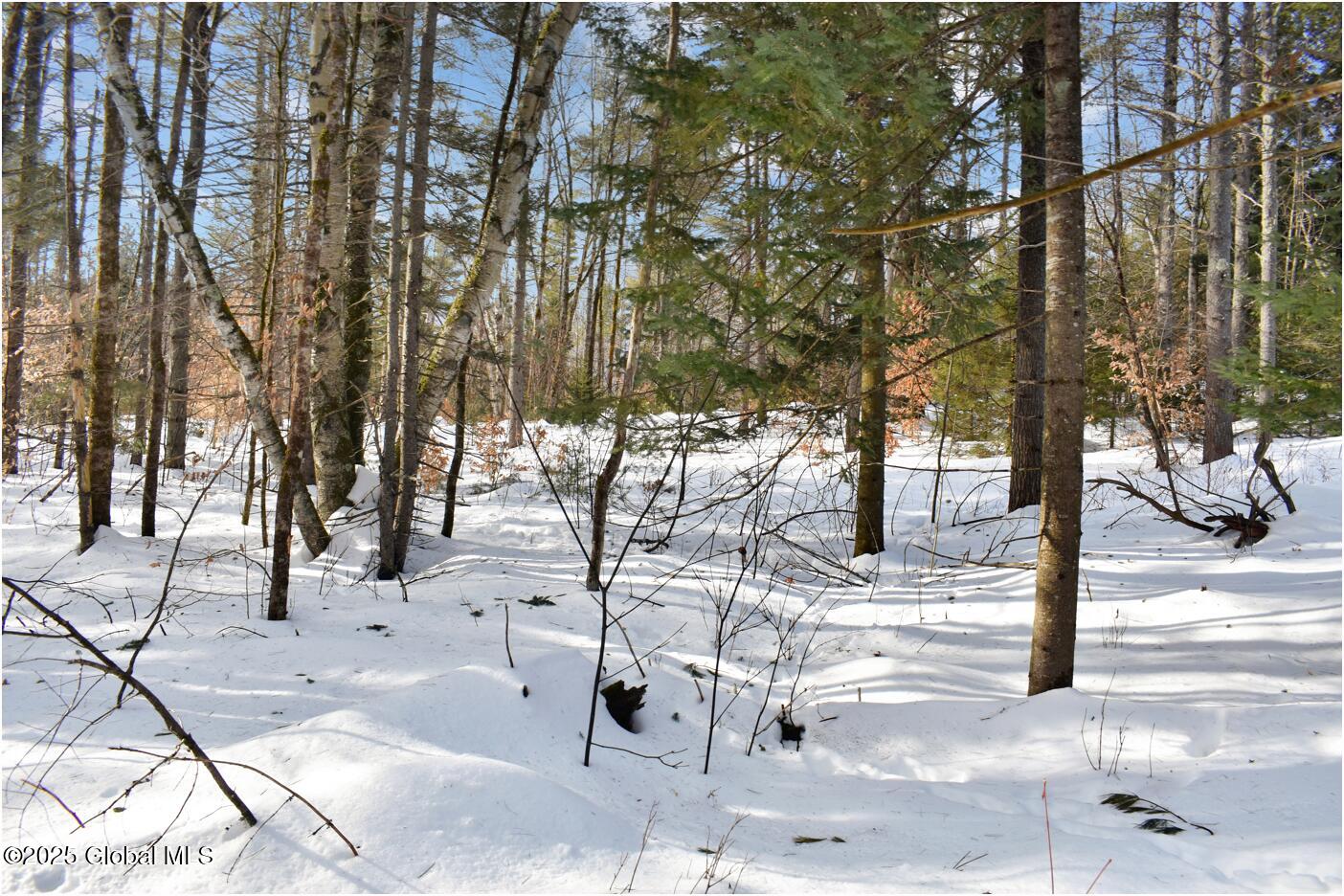 L95 Highview Lane Wevertown NY 12886