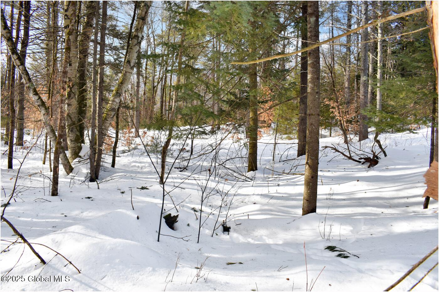 L95 Highview Lane Wevertown NY 12886