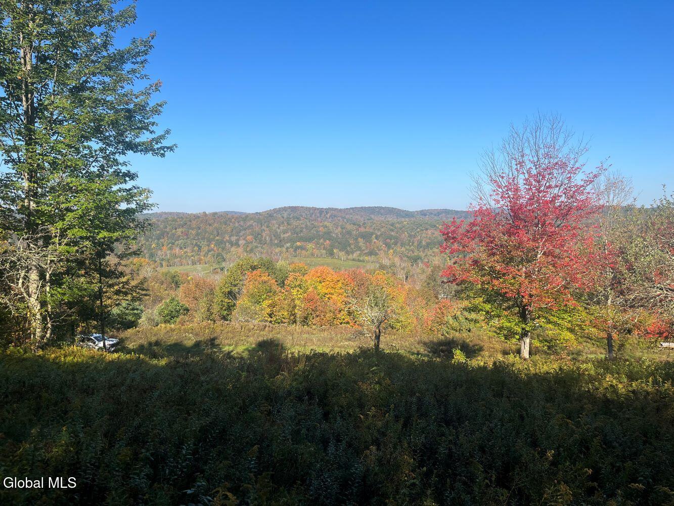 L15 State Route 22 Salem NY 12865
