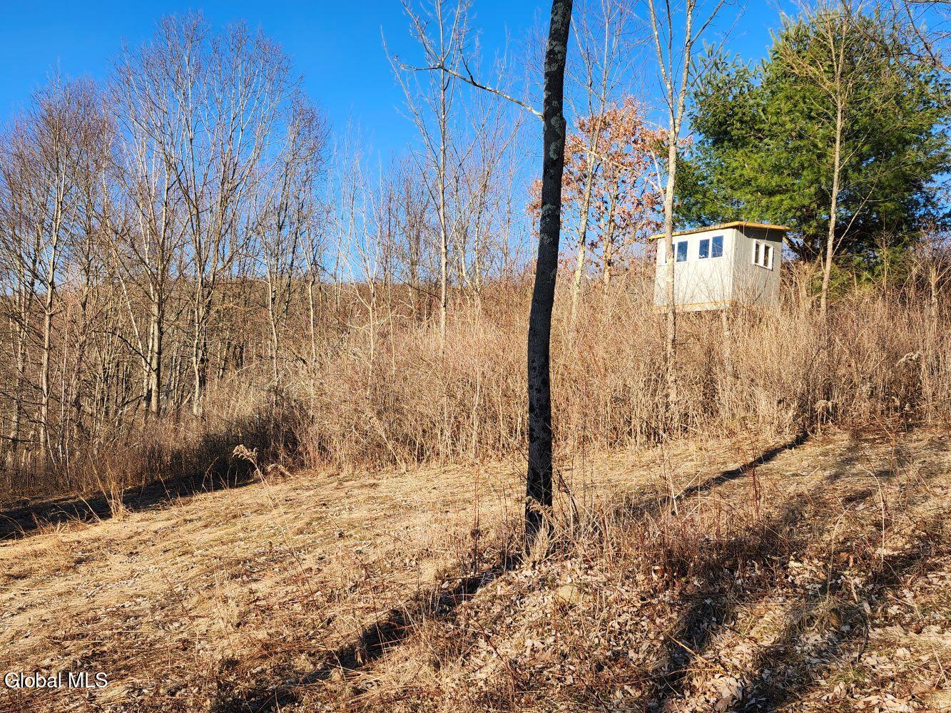 L15 State Route 22 Salem NY 12865