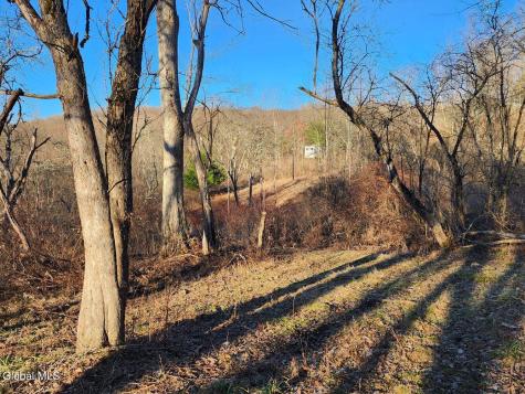L15 State Route 22 Salem NY 12865