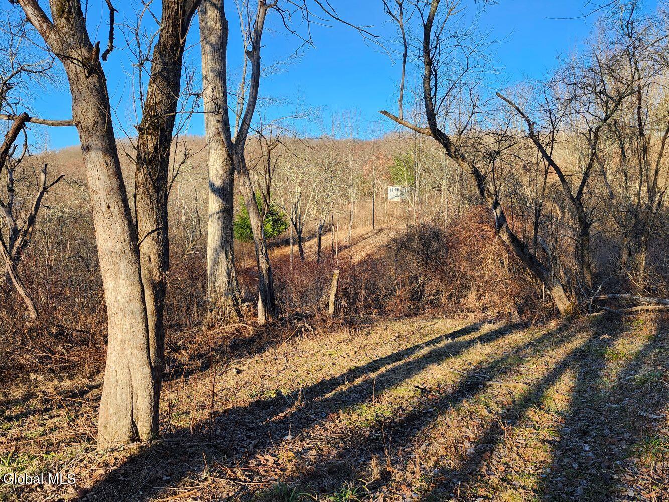 L15 State Route 22 Salem NY 12865