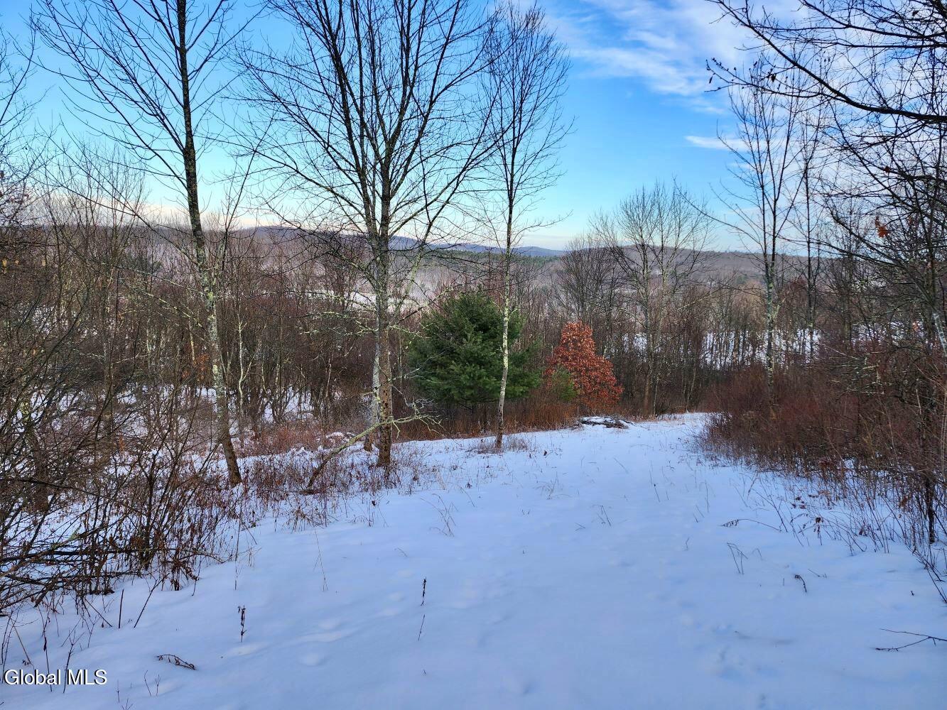 L15 State Route 22 Salem NY 12865
