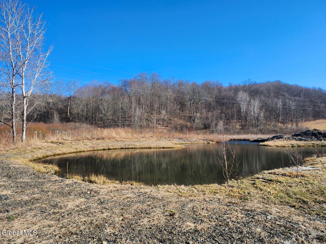 L15 State Route 22 Salem NY 12865